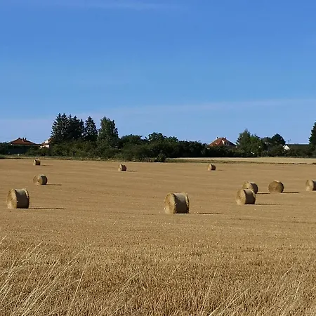 Privat bolig Les Tourterelles *