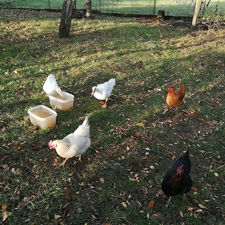 Les Tourterelles 홈스테이