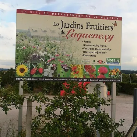 Les Tourterelles