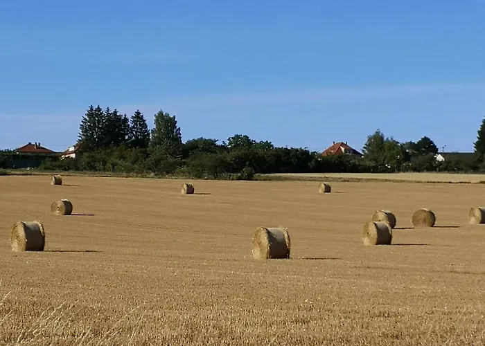 홈스테이 Les Tourterelles *