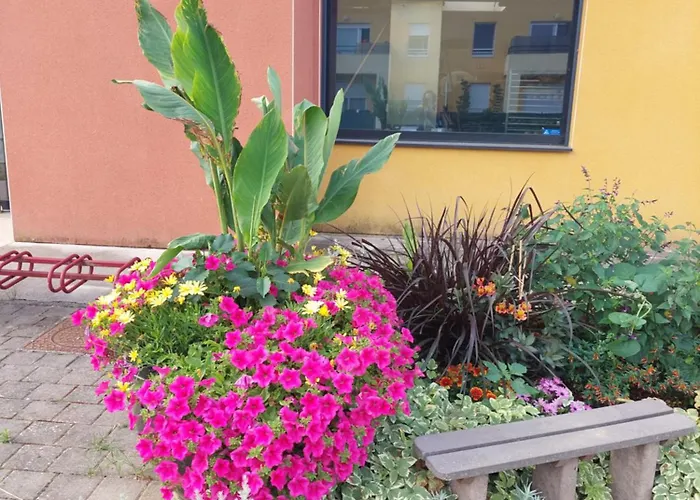 Les Tourterelles 홈스테이 *